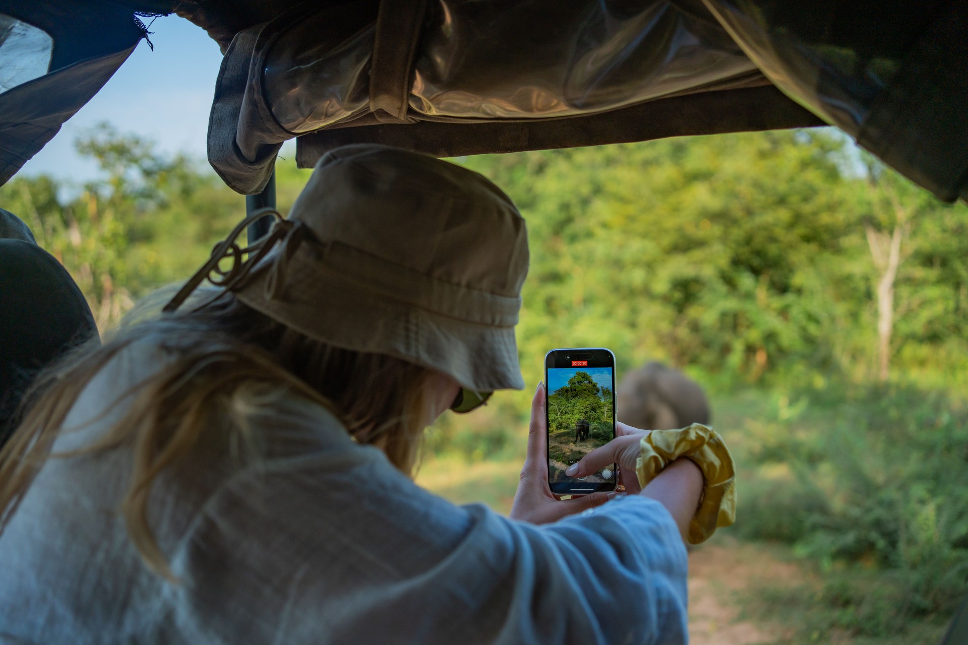 Young woman takes photo of elephant in jungle