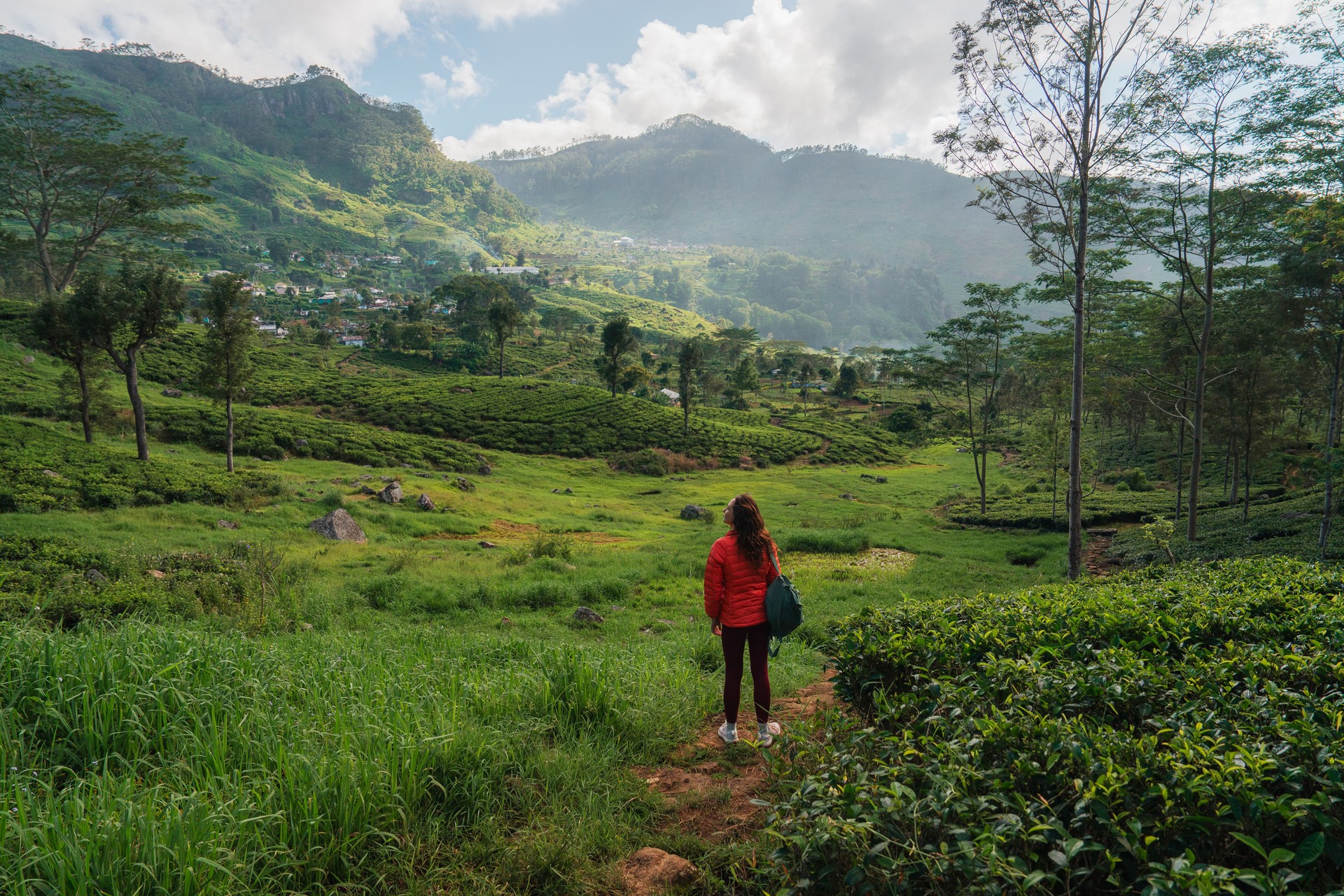 Woman on tea plantation in Ella on Sri Lanka