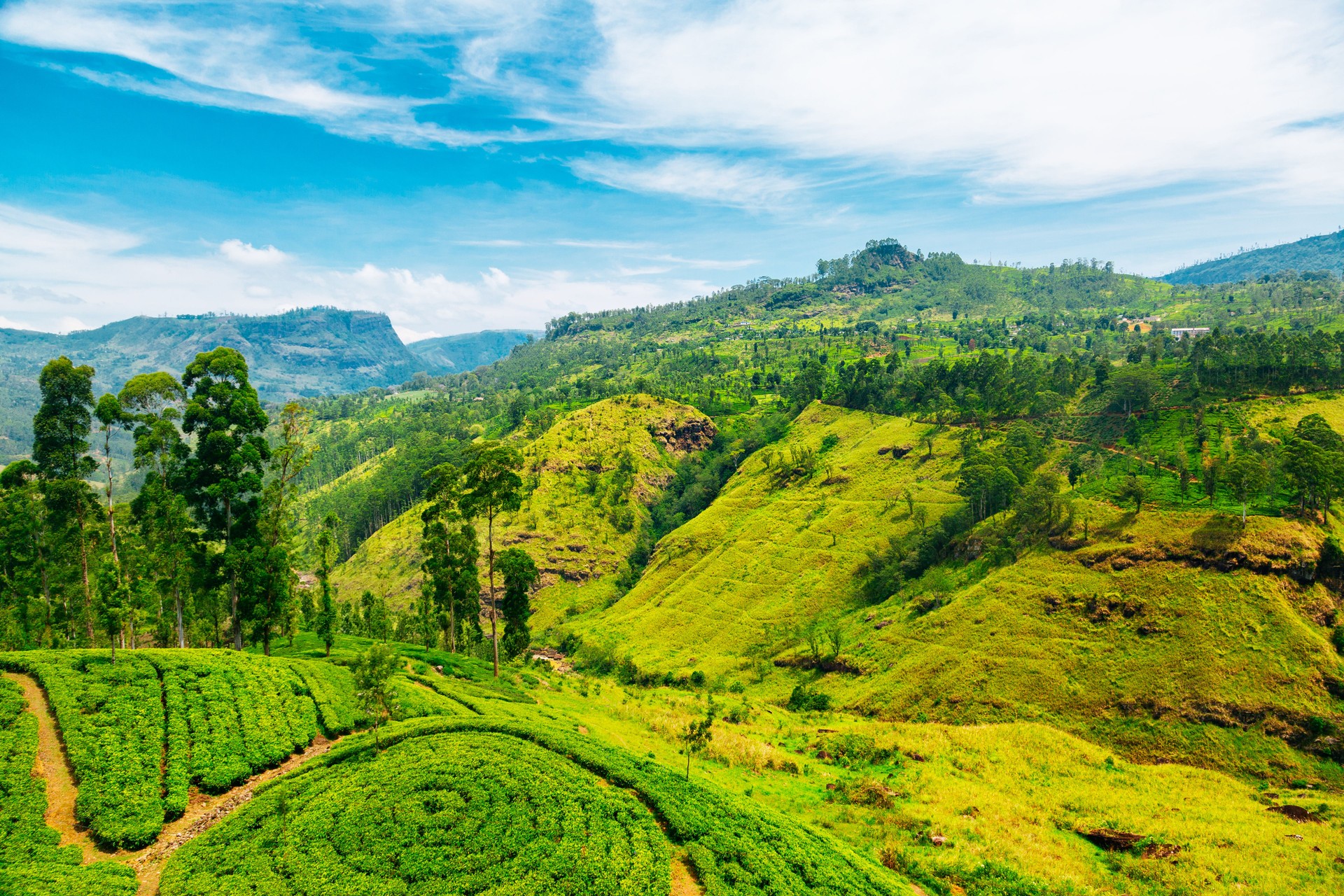 Waterfall valley near Nuwara Eliya, Sri Lanka