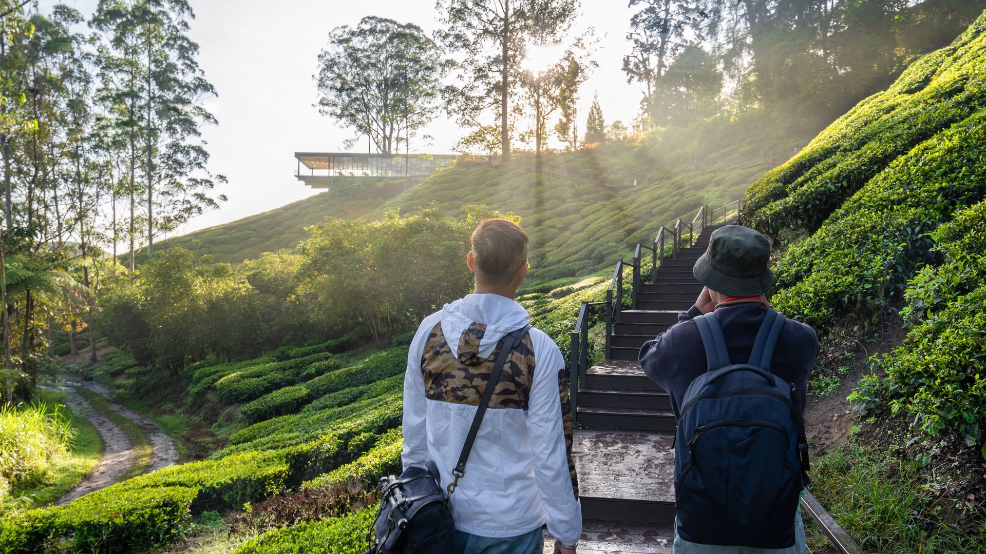 Two male hikers environment conversation at tea plantation