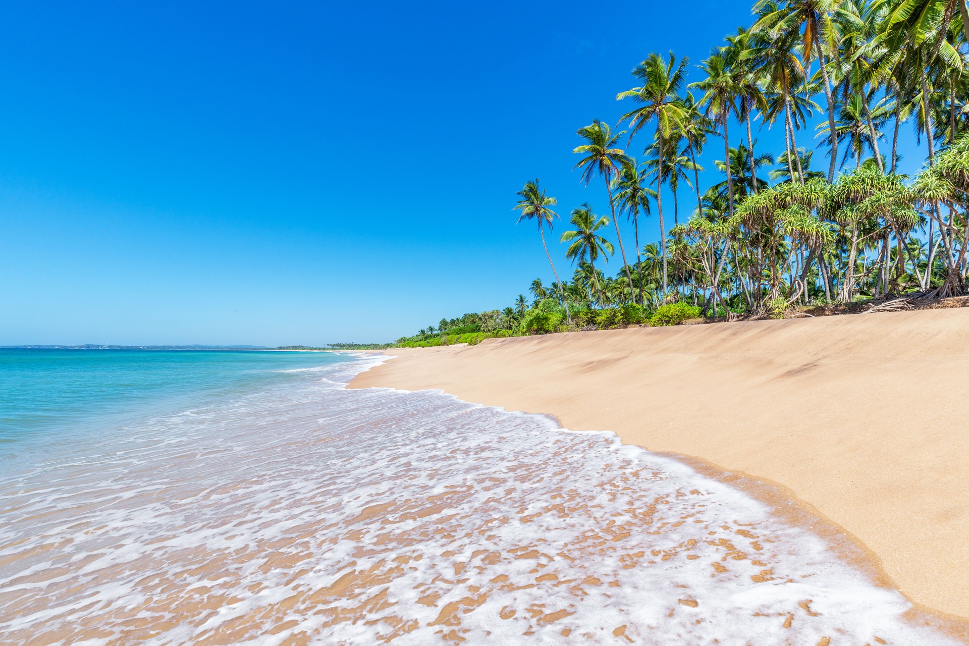 Beautiful tropical beach